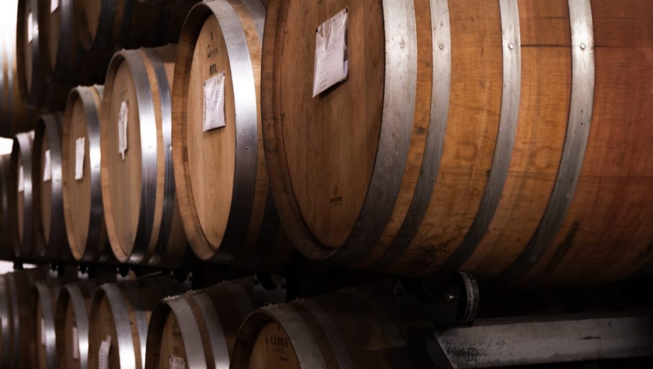 Etna food and wine private tour winery tasting volcanic landscape