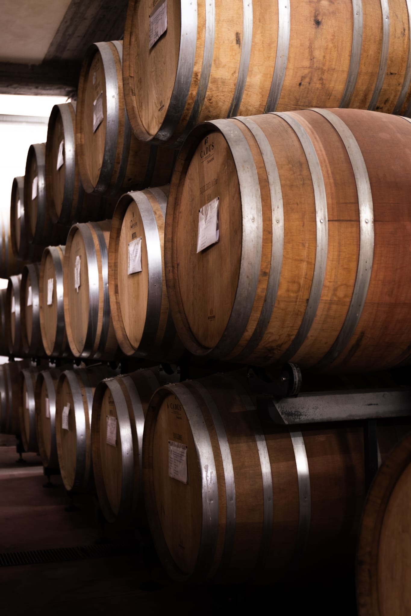 Wine food tour on Etna's slope Daily Tour